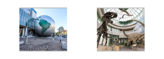 Top Quality Accounting and Tax Services with The IRS Tax Relief in Raleigh, North Carolina 1 image 78